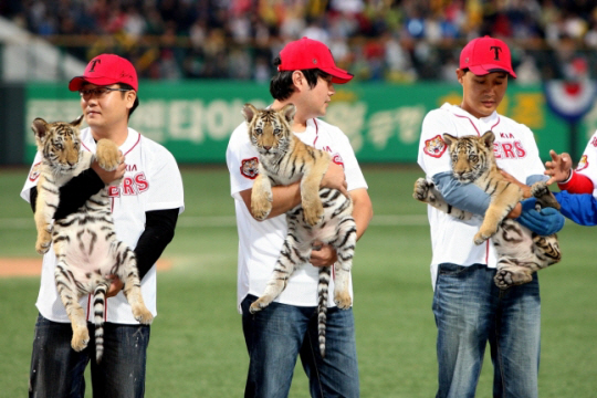 KIA 타이거즈 제공, 아이, 러브, 기아