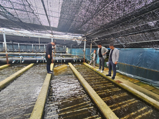 고수온 대비 전복양식장 점검. 전남도청 제공