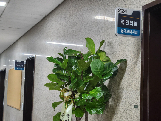 조용우 조국혁신당 당대표 정무실장 SNS 캡처