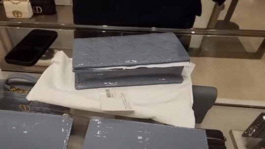 최재영 목사가 김건희 여사에게 건넸다고 주장한 크리스찬 디올 백. 서울의 소리 유튜브 영상 캡처