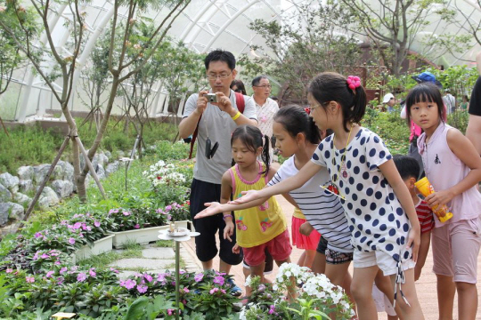 경북 예천군 곤충생태원 나비터널에서 어린이들이 나비를 관찰하고 있다. 예천군청 제공