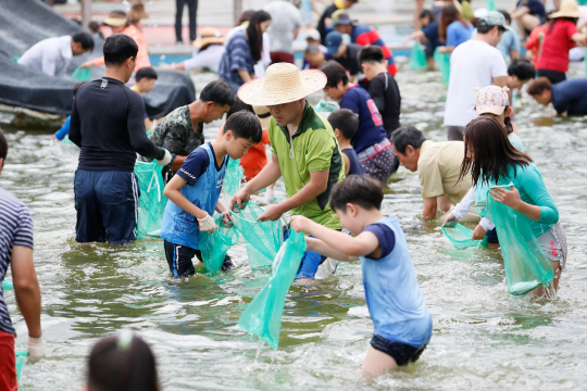 보성전어축제 전어잡이 체험. 보성군청 제공