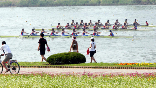 울산 태화강에서 조정 대회가 열리고 있다. 울산시청 제공