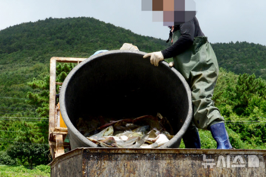 20일 오전 연일 폭염이 이어지고 있는 가운데 경남 남해군 한 육상양식장에서 고수온을 견디 못한 광어가 떼죽음을 당해 어민들의 시름이 깊어지고 있다. 사진은 한 어민이 폐사한 광어를 옮기고 있다. 뉴시스 제공