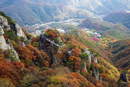게티이미지뱅크