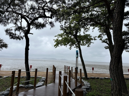 동막해수욕장, 사진은 기사와 직접 관련이 없음. 곽선미 기자