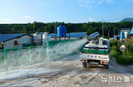 지난 12일 경북 영천에서 아프리카돼지열병(ASF)이 발생하자 포항시가 방역을 강화하고 있다. 사진은 포항시 돼지 사육 농장 입구 소독 모습. 사진은 기사 내용과 직접적 관계가 없음. 뉴시스