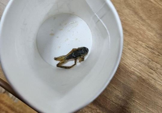 플랜트건설노조 울산지부 제공