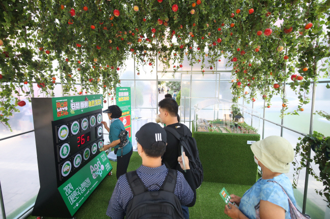 지난달 28일 서울 중구 서울마당에서 열린 ‘촌(村)스럽(love) 연구소’의 팝업 홍보관을 찾은 시민들이 농업과 관련한 체험을 하고 있다.  농림수산식품교육문화정보원 제공