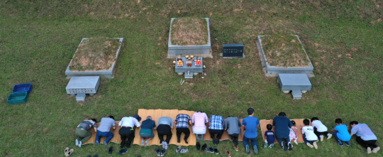추석 연휴를 일주일 앞둔 8일 경기 파주시 한 선산에서 일가 친인척들이 추석 성묘를 지내고 있다. 백동현 기자
