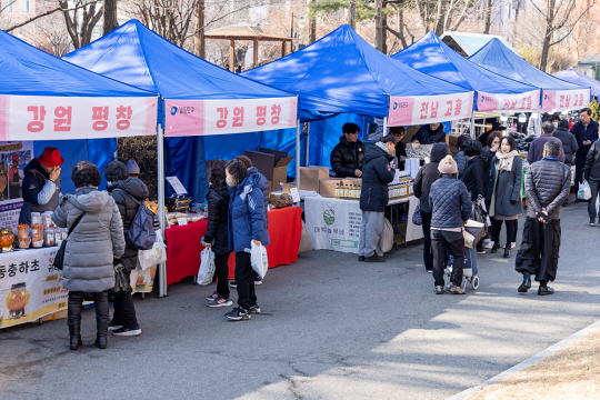 서울 영등포구에서 지난 설날을 맞아 개장한 ‘어울림장터’에서 주민들이 장을 보고 있다. 영등포구청 제공