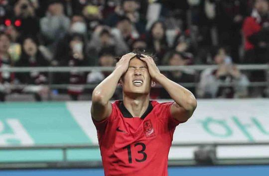 뉴시스