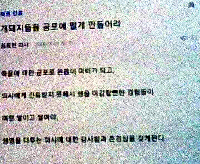 온라인커뮤니티 캡처
