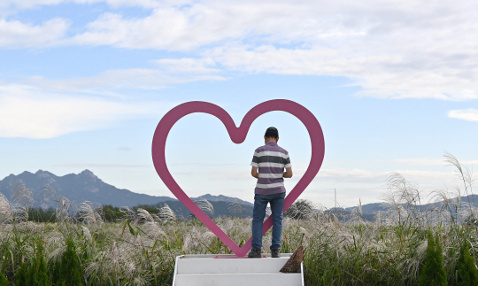 일교차 큰 가을 날씨를 보인 지난 9월 25일 오전 서울 마포구 하늘공원을 찾은 한 시민이 억새풀을 배경으로 사진 찍고 있다.  백동현 기자