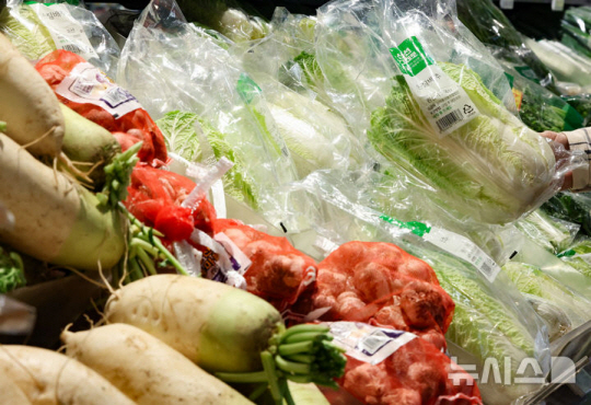 김장철을 2주 앞둔 가운데 배추, 무 등 김장 채소 가격이 1년 전 대비 높은 수준으로 나타났다. 사진은 서울 시내 한 대형마트 배추 매대 모습. 뉴시스