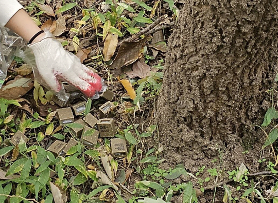 광견병 미끼 예방약. 인천시청 제공