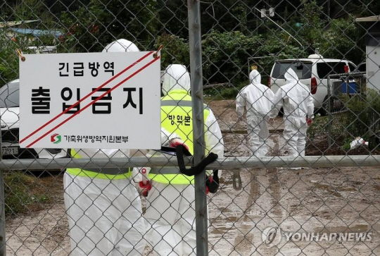 한 양돈농가에서 아프리카돼지열병(ASF)이 발생해 방역 당국 관계자가 입구를 통제하고 있는 모습. 사진은 기사와 직접적인 관계없음. 연합뉴스.