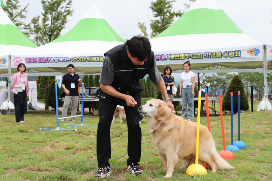 포천시에서 열린 펫티켓클래스. 포천시 제공