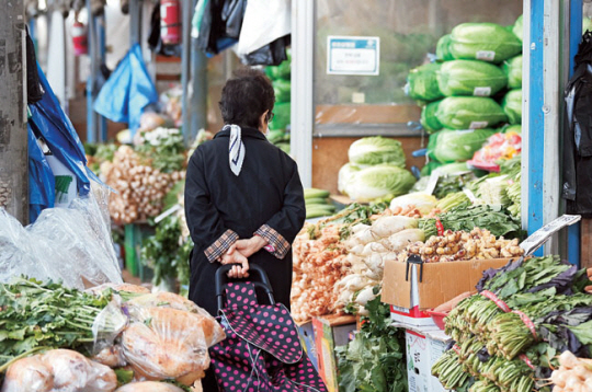 본격 김장철을 앞두고 배추·무 등 채소류 물가가 고공 행진을 계속하고 있는 가운데 5일 오전 서울 서대문구 경동시장에서 한 시민이 진열된 채소를 살펴보고 있다. 박윤슬 기자