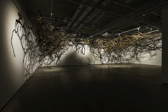박소희 작가의 ‘COMPLEX_root’, 2024. 식물 혼합 재료. 라인문화재단 제공