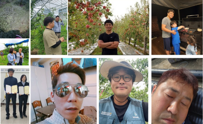 여름 땡볕에도, 캄캄한 밤중에도… ‘사과 사랑’ 식을 줄 모릅니다[자랑합니다]