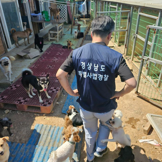 경남도 특별사법경찰관이 지난 9월 거제의 한 개·고양이 사육시설을 둘러보고 있다. 경남도청 제공