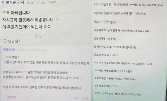 보배드림 등 캡처
