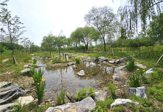 서울 영등포구에서 나대지였던 공간이 다양한 수종이 서식하는 생태습지로 바뀐 모습. 영등포구청 제공