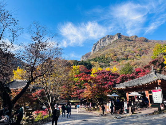 전남 장성 백양사. 장성군청 제공