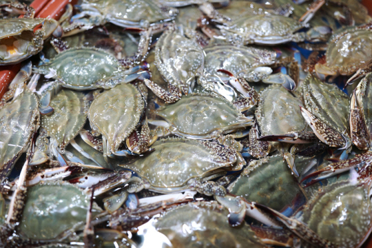 게티이미지뱅크.