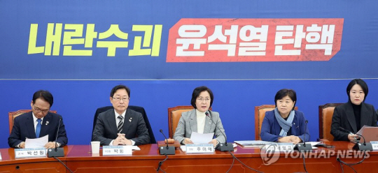 14일 오후 국회에서 열린 더불어민주당 ‘윤석열 내란 진상조사단’ 회의에서 단장을 맡은 추미애(가운데)의원이 발언하고 있다.연합뉴스