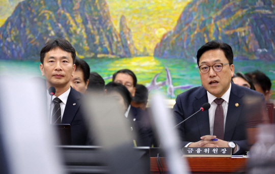 김병환(오른쪽) 금융위원장이 지난 10월 24일 서울 영등포구 여의도 국회에서 열린 정무위원회의 금융위원회, 금융감독원에 대한 종합감사에서 의원 질문에 답변하고 있다. 왼쪽은 이복현 금융감독원장. 사진=뉴시스