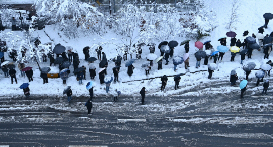 서울을 비롯한 수도권에 기록적인 폭설이 쏟아진 지난달 28일 오전 경기 수원시 영통구 망포동의 버스정류장에 시민들이 출근길 버스를 기다리고 있다. 뉴시스
