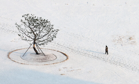 21일 오전 서울 종로구 송현공원에 눈이 쌓여 있다.연합뉴스