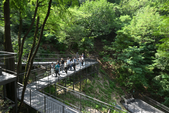 남산자락숲길에서 주민들이 걷고 있다.중구청 제공