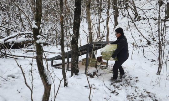 국가유산청 제공.