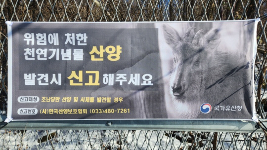 국가유산청 제공.