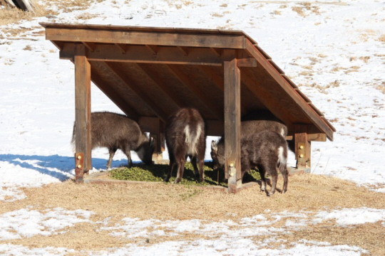 국가유산청 제공.