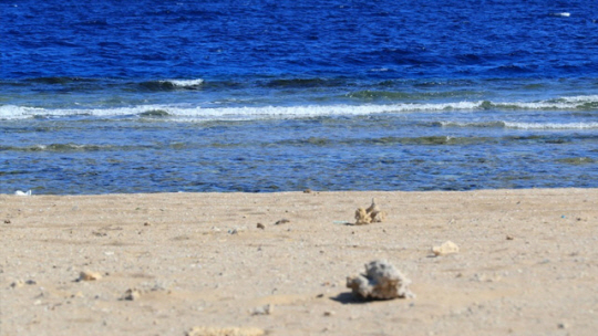 마르사알람 해변. 신화 연합뉴스