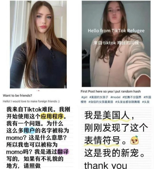 샤오훙수의 ‘틱톡 난민’. 시나닷컴 캡처·연합뉴스