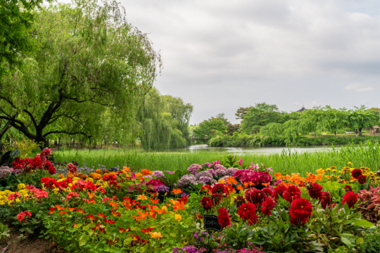 2024고양국제꽃박람회 전경. 고양시 제공