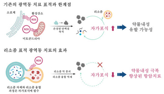 항암제 내성 암세포 치료 개념도. UNIST 제공
