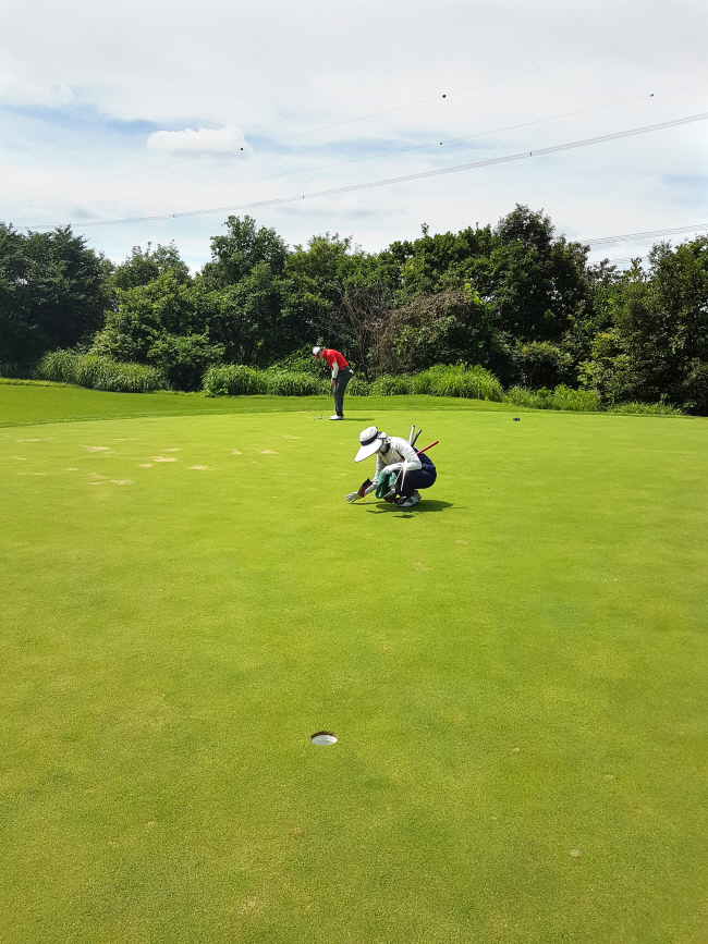 국내 골프 시장에서 연간 2조 원을 넘어선 캐디피는 대부분 현금으로 지급되는 것이 현실이다. 국내 골프장 560곳에서 활동하는 캐디는 약 3만8000명이다. 게티이미지뱅크
