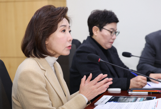 나경원 국민의힘 의원이 12일 오전 서울 여의도 국회 의원회관에서 열린 딥시크-코인쇼크 미중 디지털 기술경쟁과 대한민국의 대응 토론회에서 인사말을 하고 있다. 뉴시스