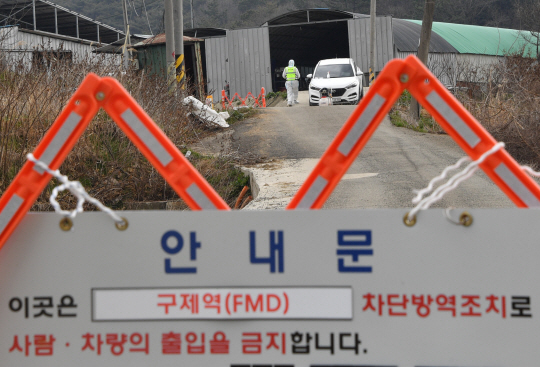 16일 오전 전남 무안군 일로읍 소재 구제역 발생 소 사육농장에서 방역 당국이 출입 통제선을 설치, 소독을 준비하고 있다. 뉴시스