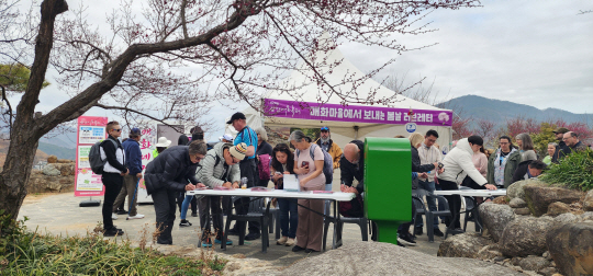 광양매화축제 아쉬운 폐막. 광양시청 제공