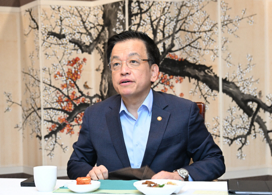 최상목 대통령 권한대행 부총리 겸 기획재정부 장관. 뉴시스