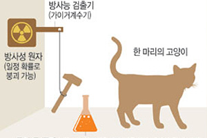‘상자 안 고양이, 죽었지만 살아 있다’… 고전 물리학 뒤집은 양자역학[Science]