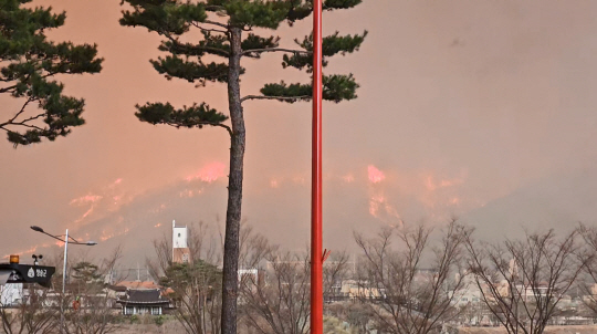 경북 의성 산불이 청송으로 확산된 25일 경북 청송군 청송문화예술회관에서 바라본 산이 불타고 있다. 독자 제공 연합뉴스