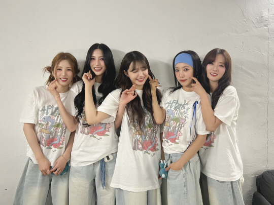 걸그룹 에이핑크